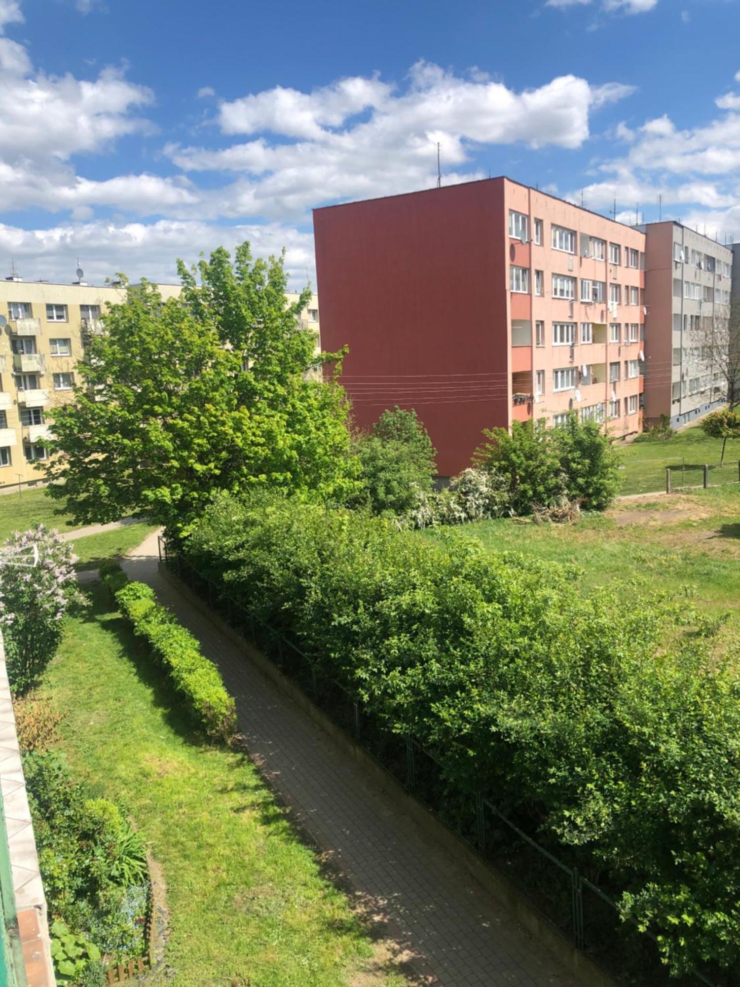 Noclegi Na Sudeckim Świebodzice Kültér fotó